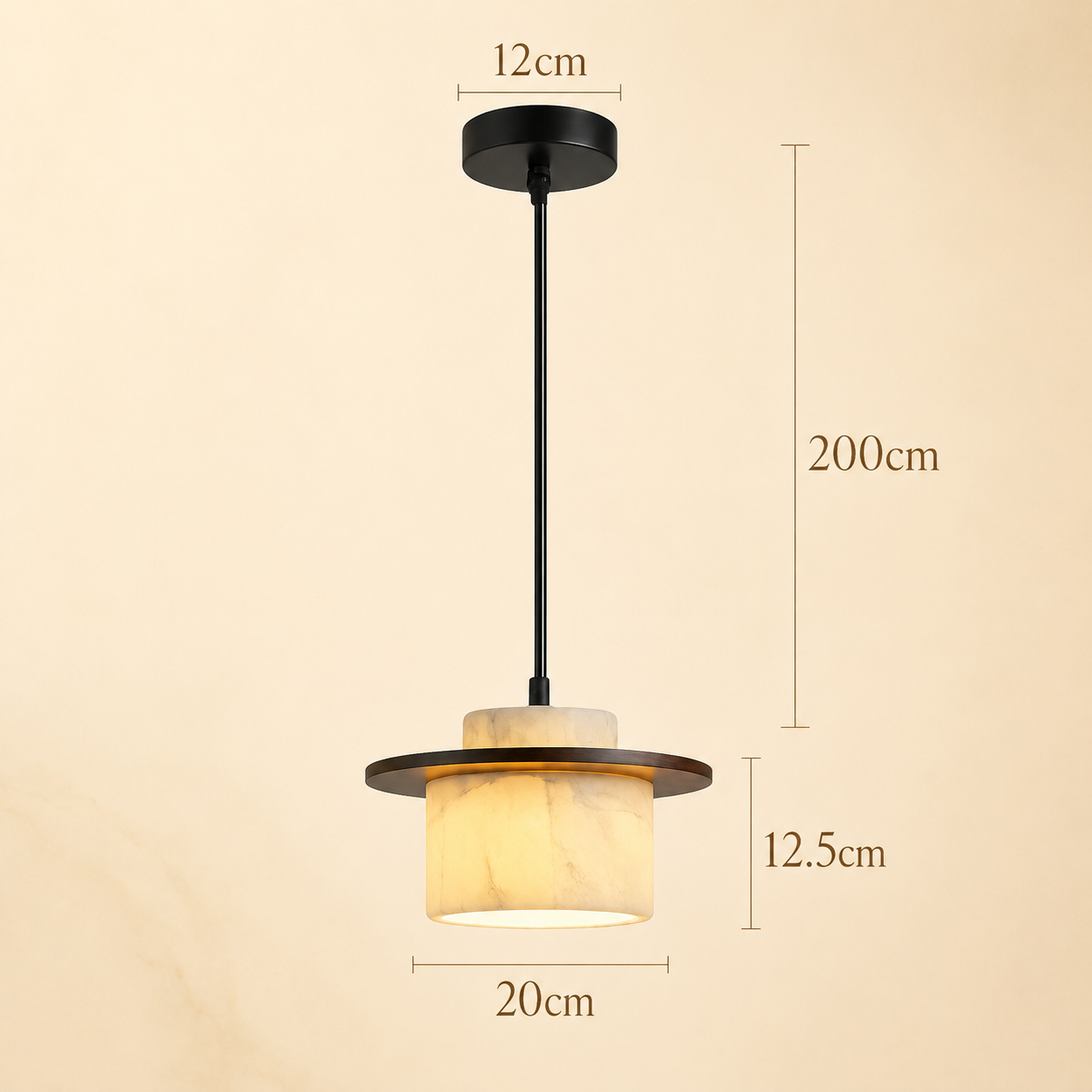 Modern Ceiling Pendant Light Venis