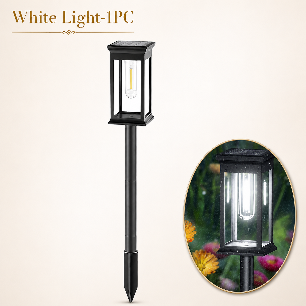 Solar LED Outdoor Pathway Light Corel